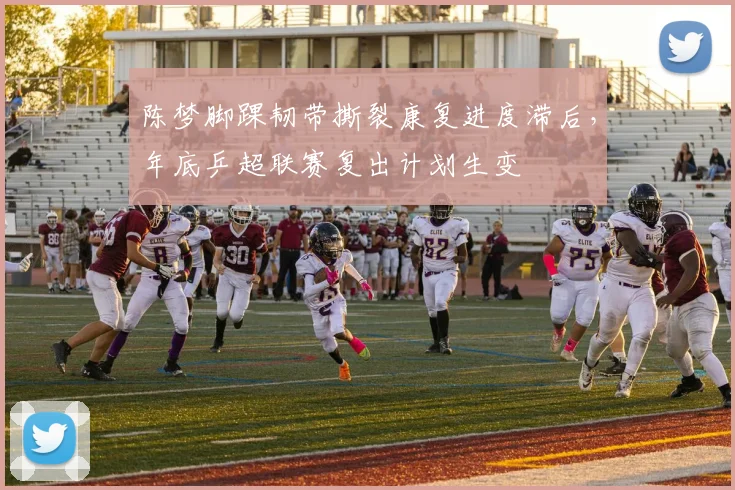 陈梦脚踝韧带撕裂康复进度滞后，年底乒超联赛复出计划生变